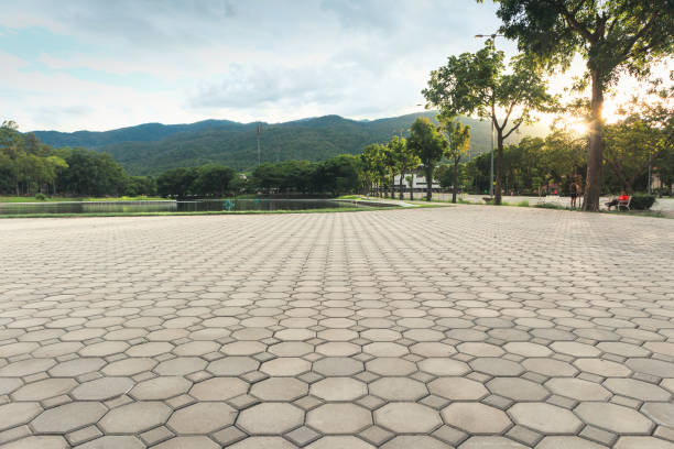 Best Driveway Paving Contractor  in Garden Acres, CA